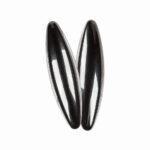 Dziedošie magnēti (Buzz magnēti) 6 cm